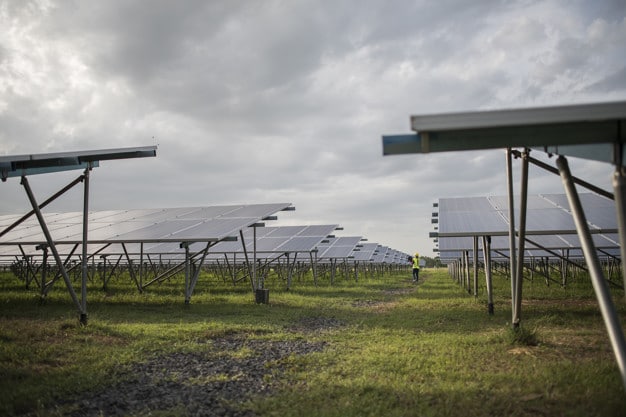 Entenda os benefícios da energia solar para a agricultura